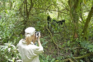 Sanctuary Gorilla Forest Camp