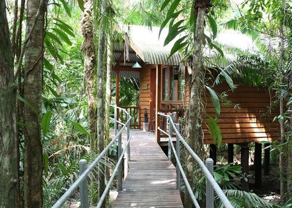 Daintree Wilderness Lodge